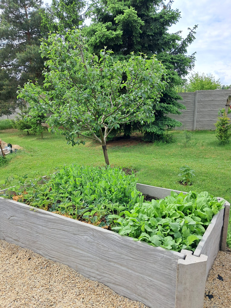 Betonové vyvýšené záhony