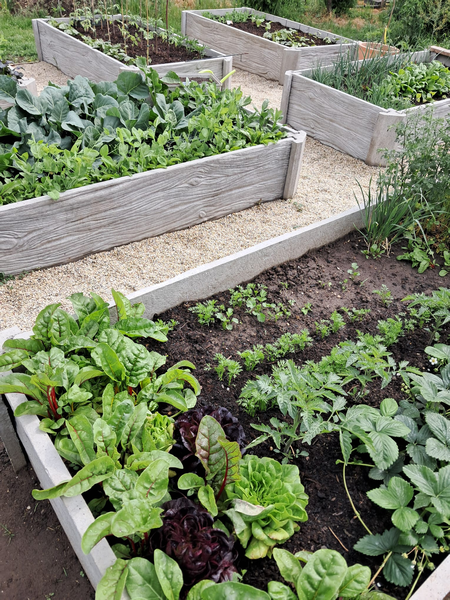 Vyvýšený záhon, dekor imitace dřeva