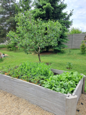 Vyvýšený záhon, dekor imitace dřeva